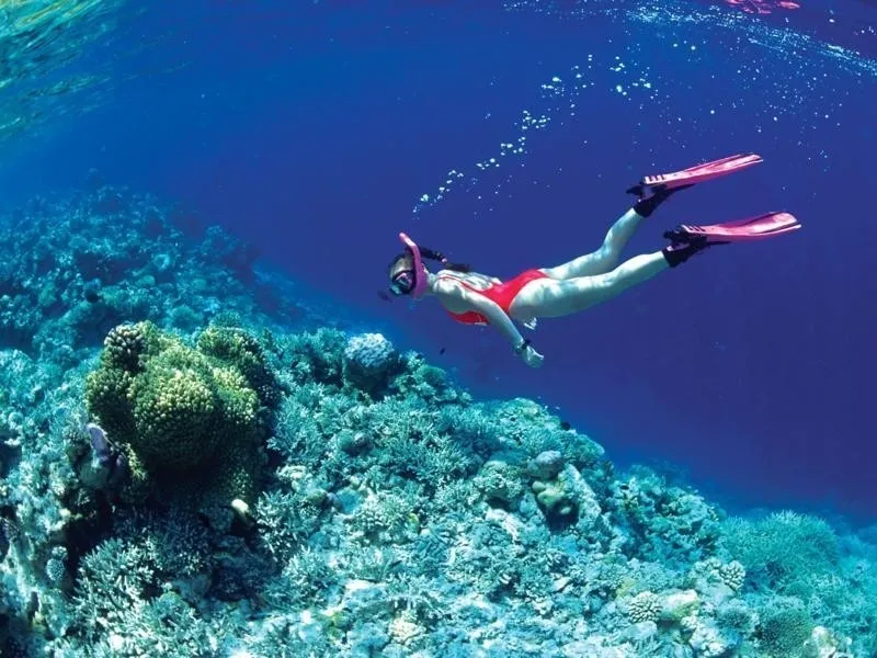 6 hòn đảo tuyệt đẹp lặn ngắm san hô Phú Quốc