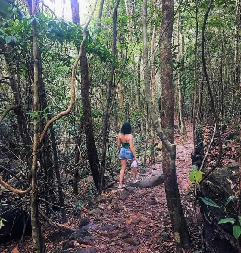 Review kinh nghiệm du lịch phượt rừng Cúc Phương Ninh Bình 2019 từ A-Z