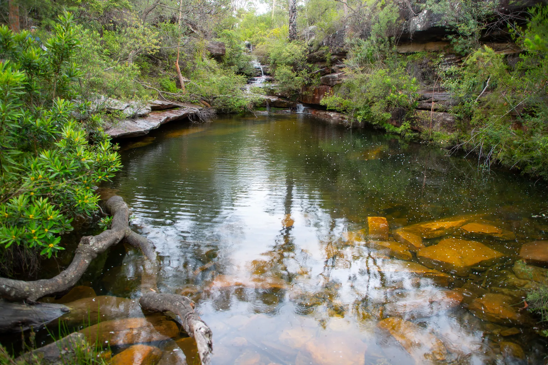 Emerald Pool Falls - a beautiful swimming hole in Popran NP | Hiking the  World