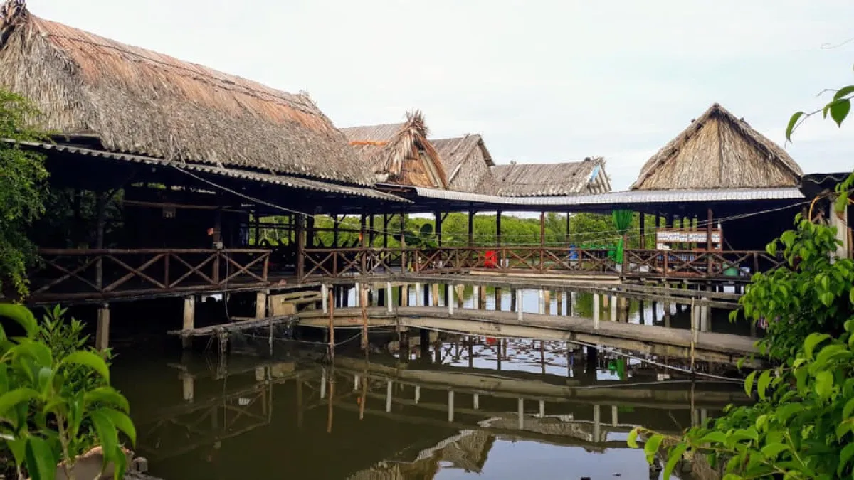 Homestay du lịch sinh thái cộng đồng Đất Mũi – Nguyễn Hùng
