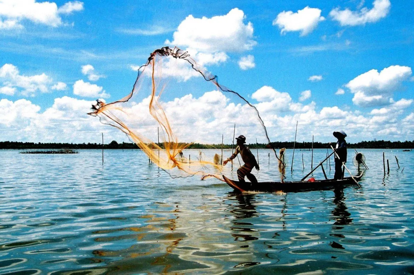 Thả lưới đánh cá