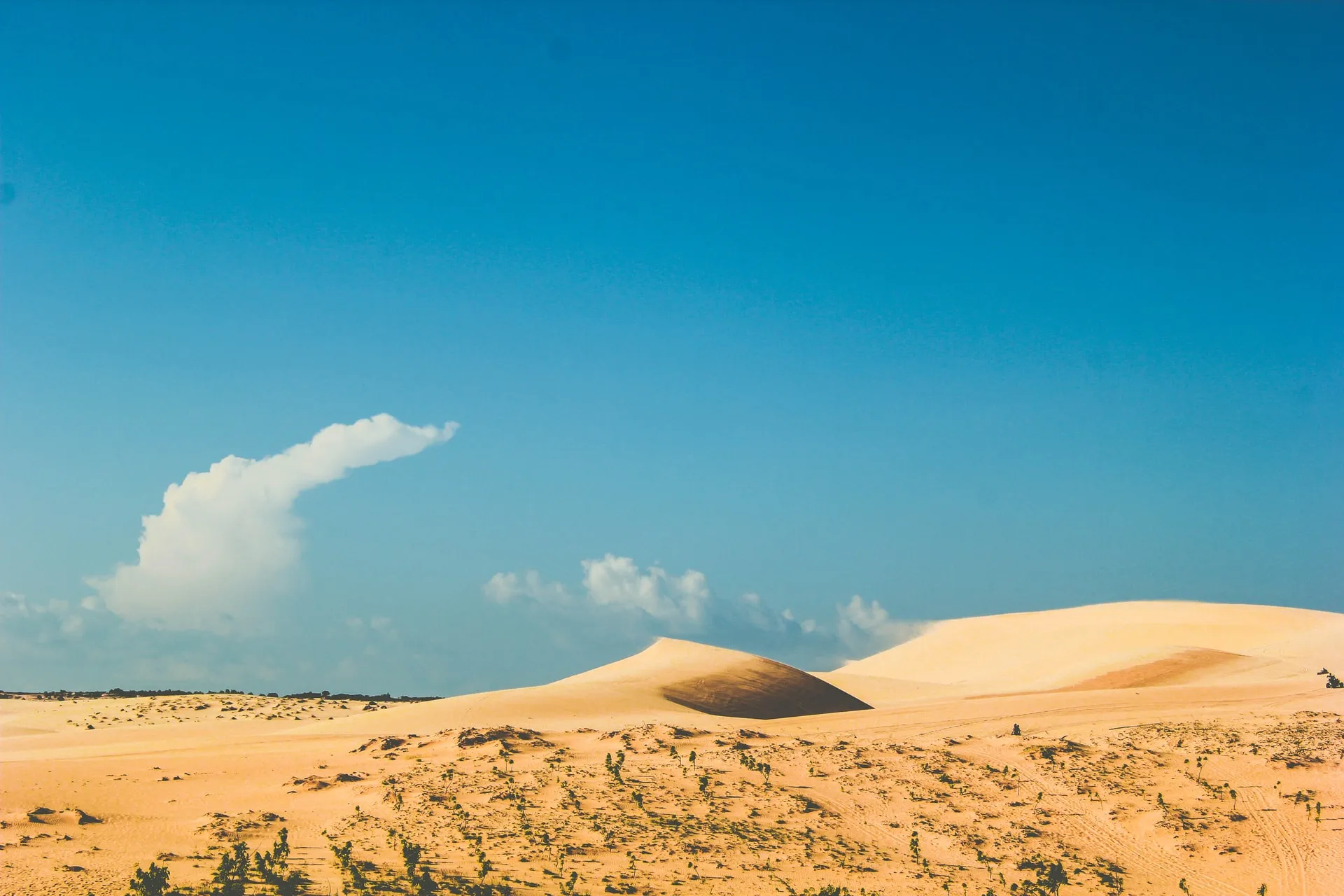 white sand dunes of mui ne
