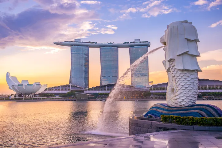 Hình ảnh được coi giống như biểu tượng của Singapore