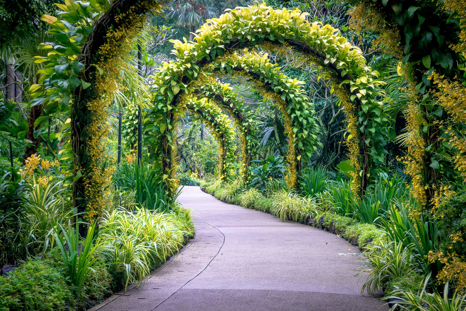 Vườn bách thảo ở Singapore với hệ thực vật đa đạng