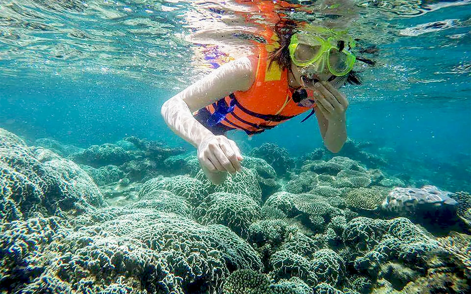 Lặn ngắm san hô dưới làn nước trong xanh trên đảo Sơn Chà