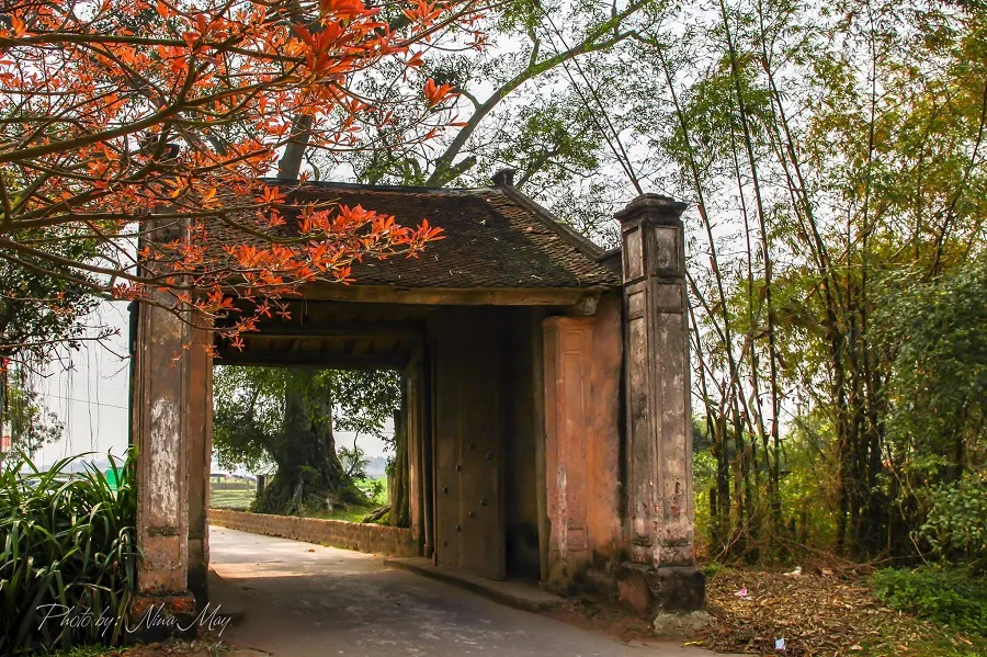 Duong Lam ancient village has a rustic beauty