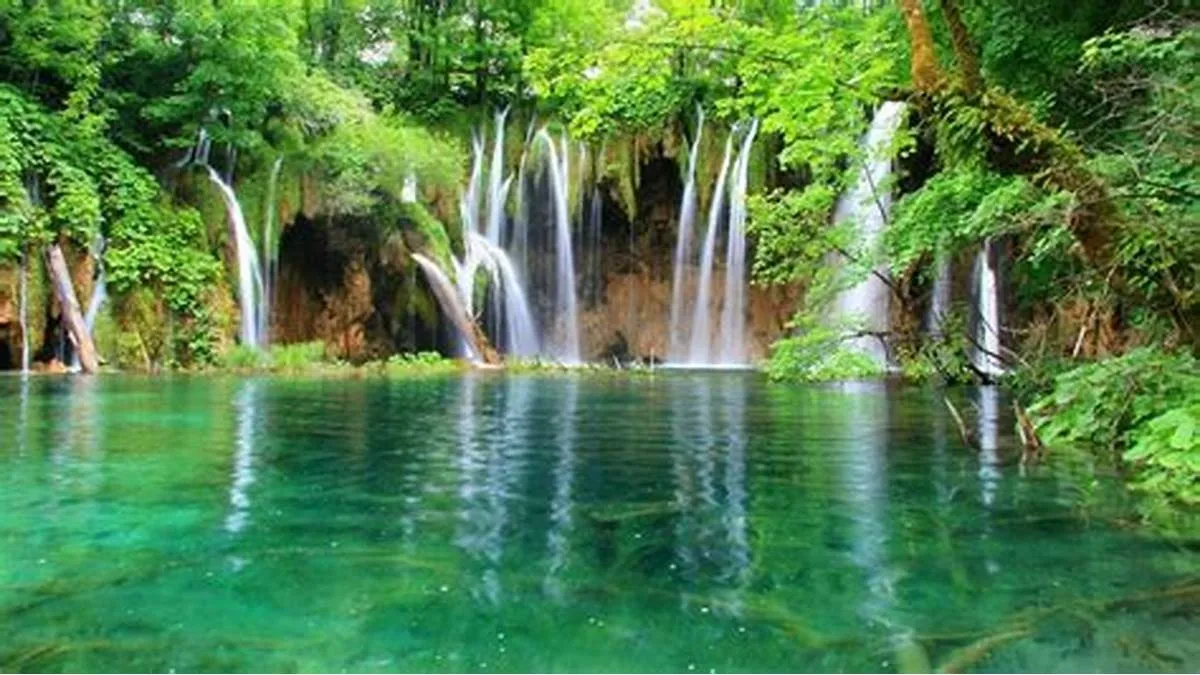 Cuc Phuong National Park waterfall