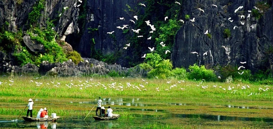 Bird Watching and Eco-Tourism in Ninh Binh