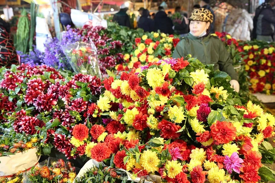 All kinds of colorful flowers bloom at Tu Lien market

