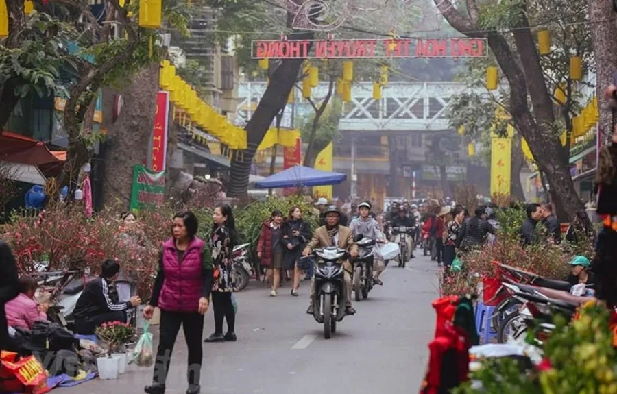 Hang Luoc flower market is the perfect choice for the upcoming Tet holiday

