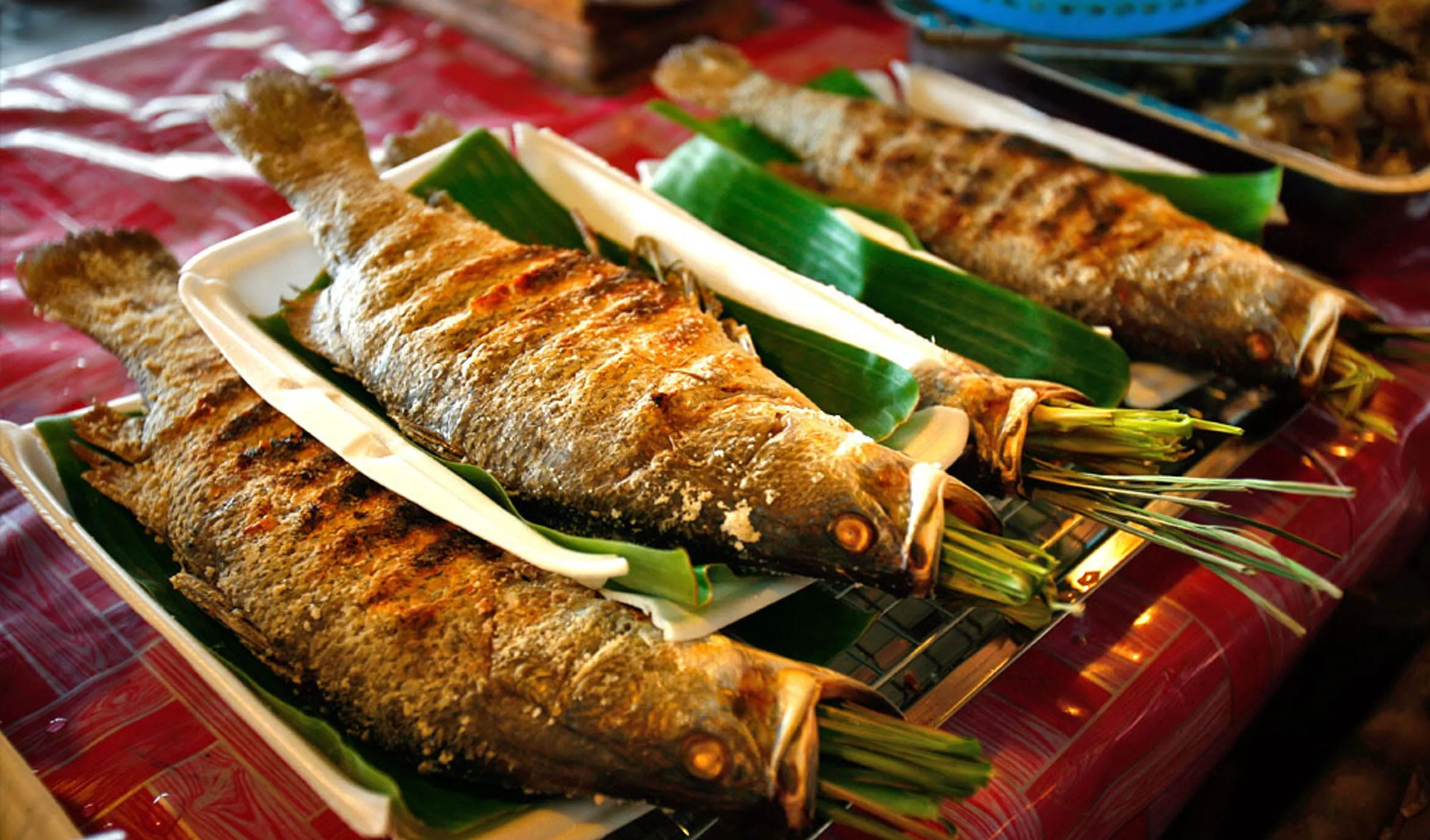 Delicious fresh grilled stream fish