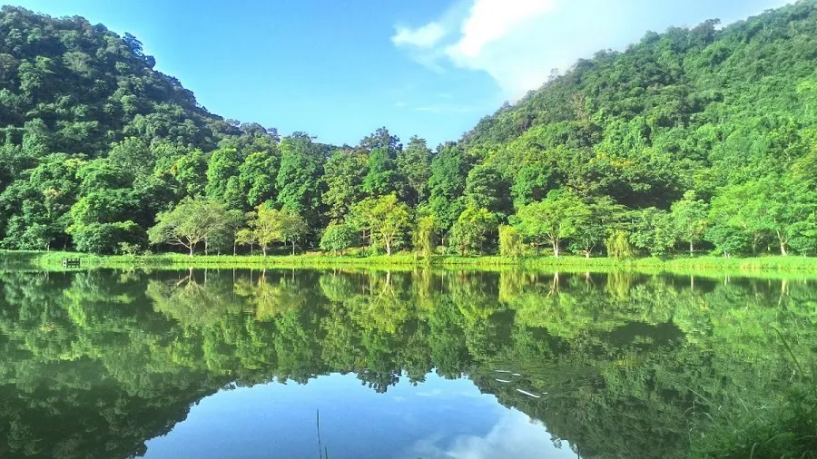 Rừng Cúc Phương là một trong những khu rừng có diện tích lớn nhất tại Việt Nam