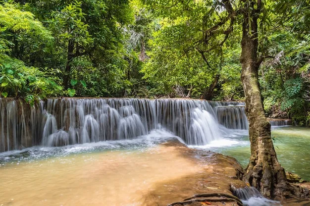 Premium Photo | Landscape waterfall of huai mae khamin waterfall srinakarin  national park at kanchanaburi thailand.