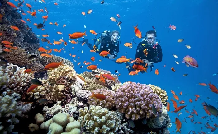 Kinh nghiệm đi Hòn Dừa Phú Quốc tắm mát và lặn biển ngắm san hô