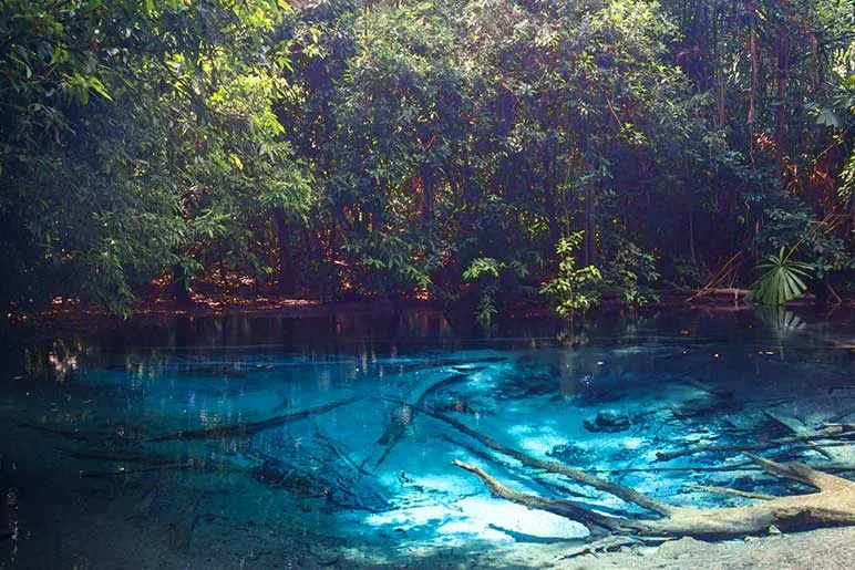 All You need to know about Krabi Emerald Pool | fascinating Sa Morakot