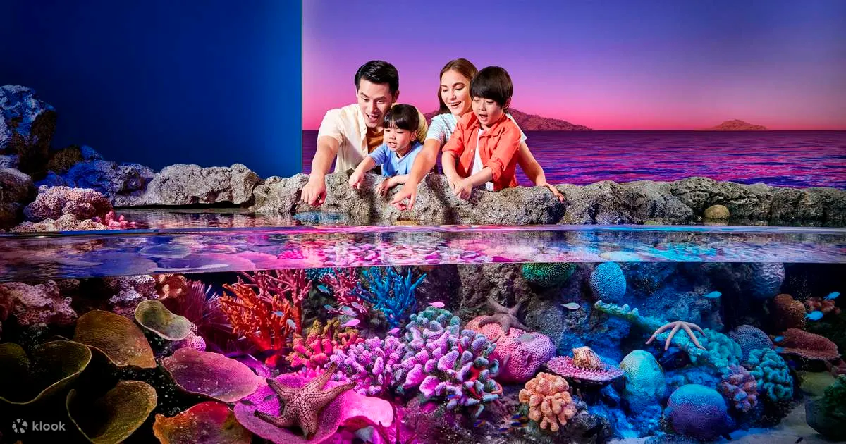Vé SEA LIFE Bangkok Ocean World (Siam Ocean World) - Klook Việt Nam