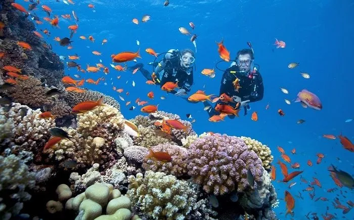 Lặn biển Phú Quốc ở đâu đẹp? Top 6 "tọa độ" HOT NHẤT 2023
