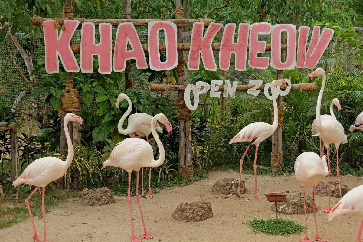 Hòa mình vào vườn thú Khao Kheow ở Pattaya - Thái Lan