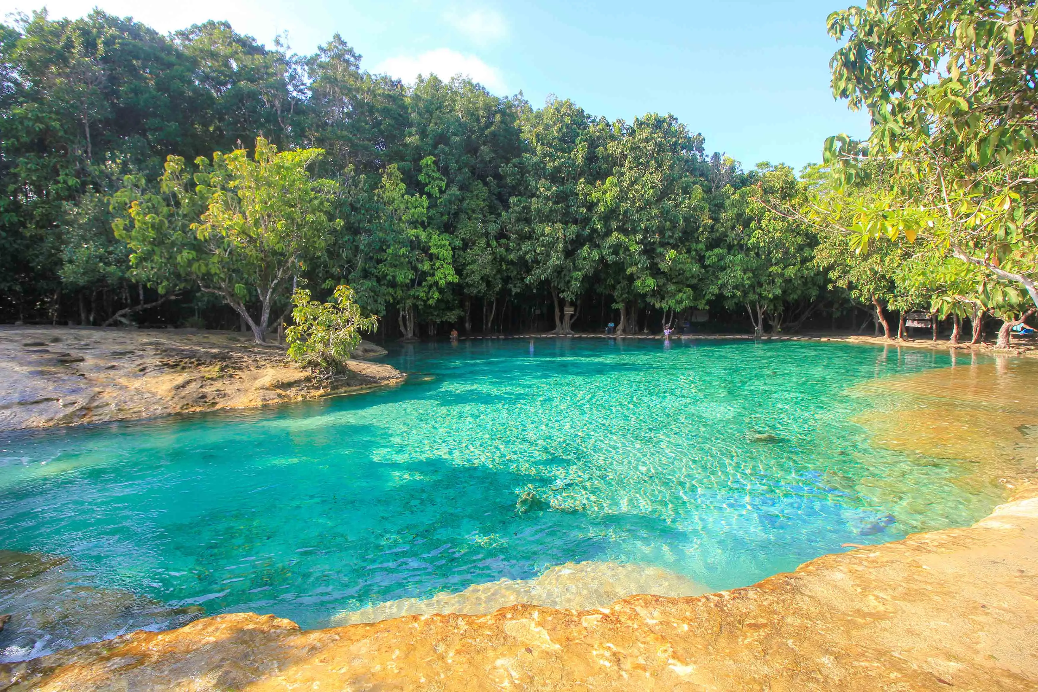 Emerald Pool Krabi: Visiting the Emerald & Blue Pool - PlacesofJuma