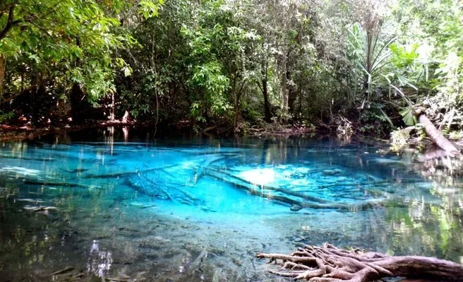 The Emerald pool Krabi Thailand – Thailand Discovery
