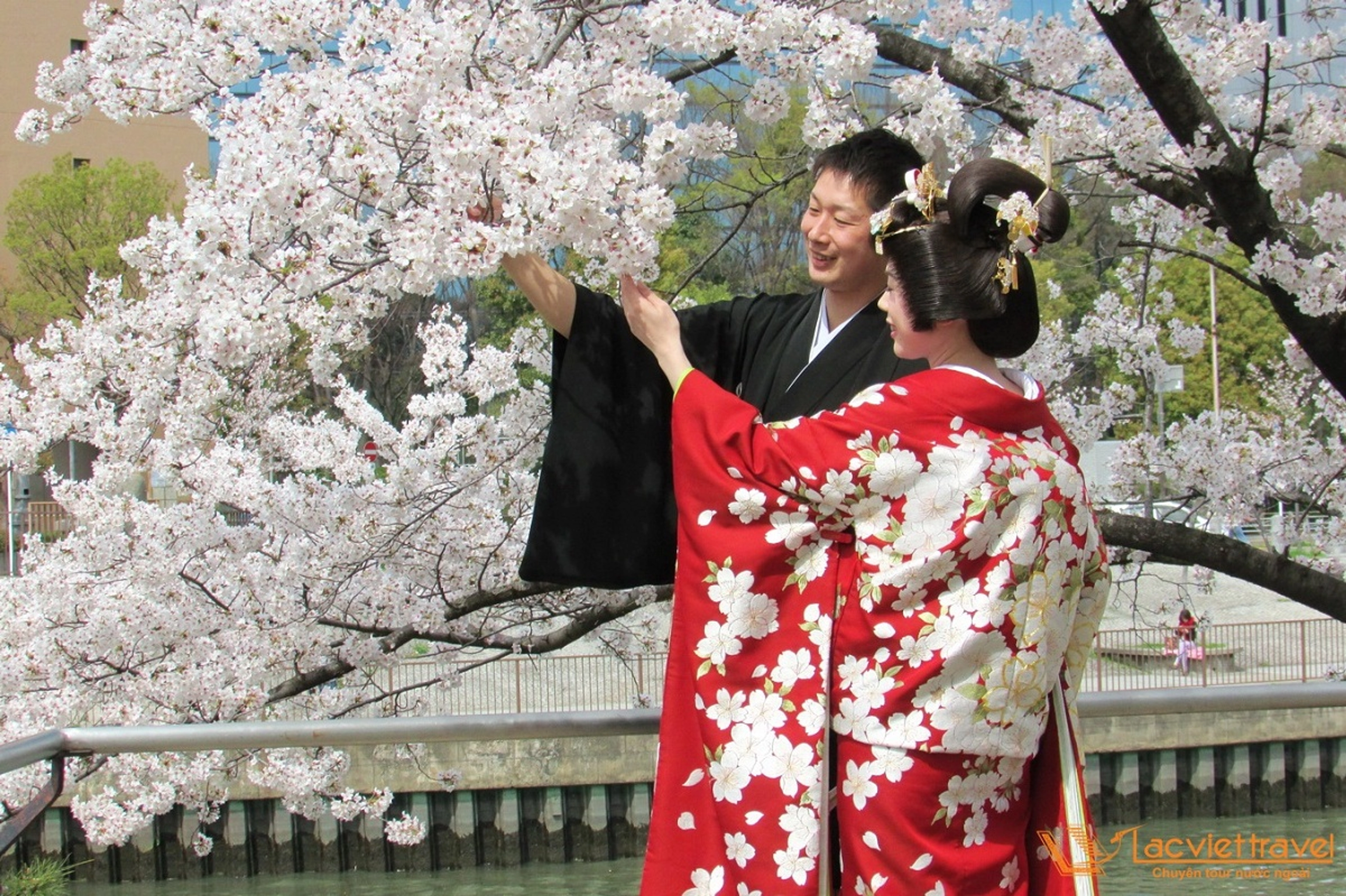 Kimono - Nét đẹp truyền thống của Nhật Bản