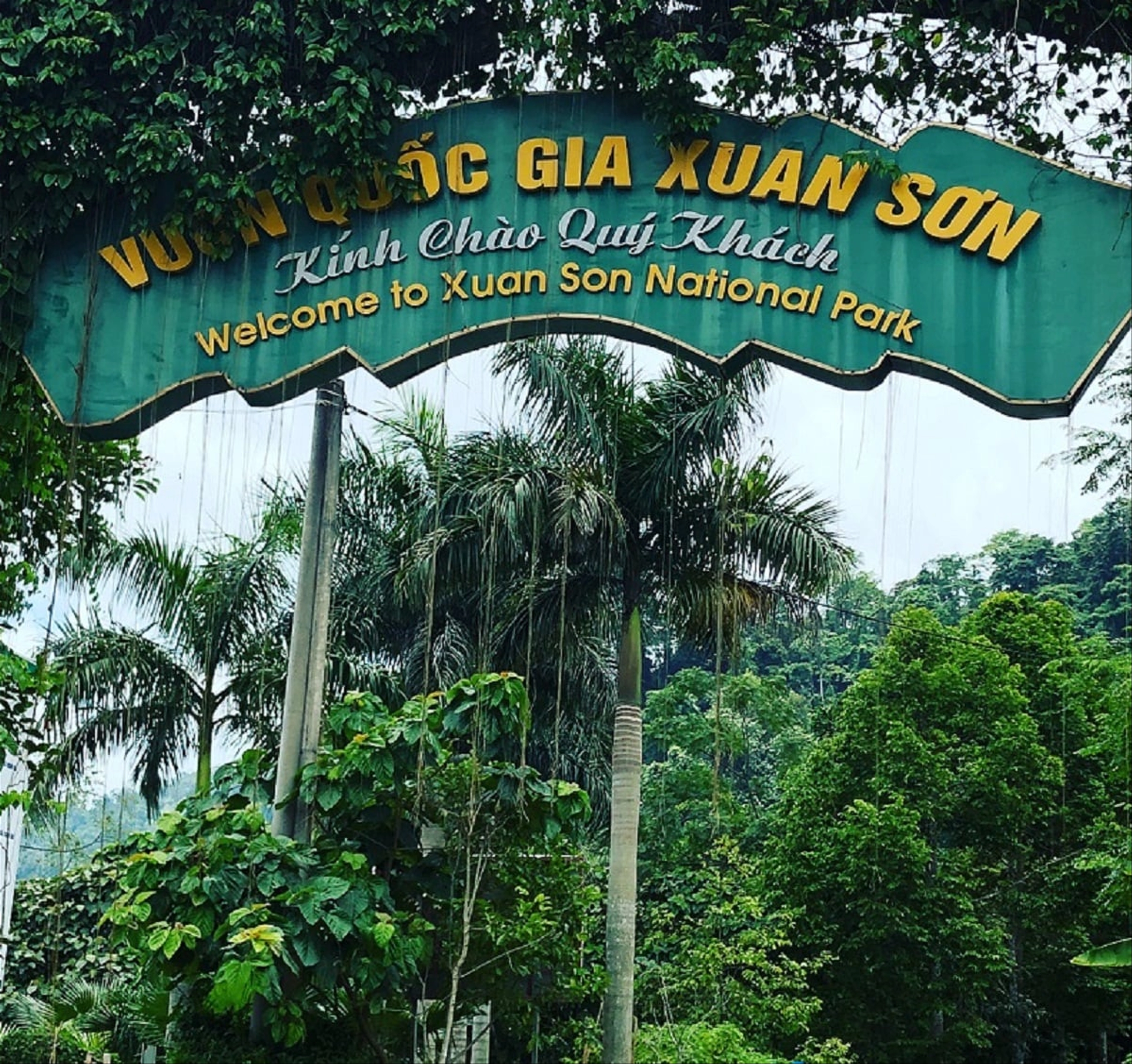 Trải nghiệm hệ sinh thái vườn quốc gia Xuân Sơn