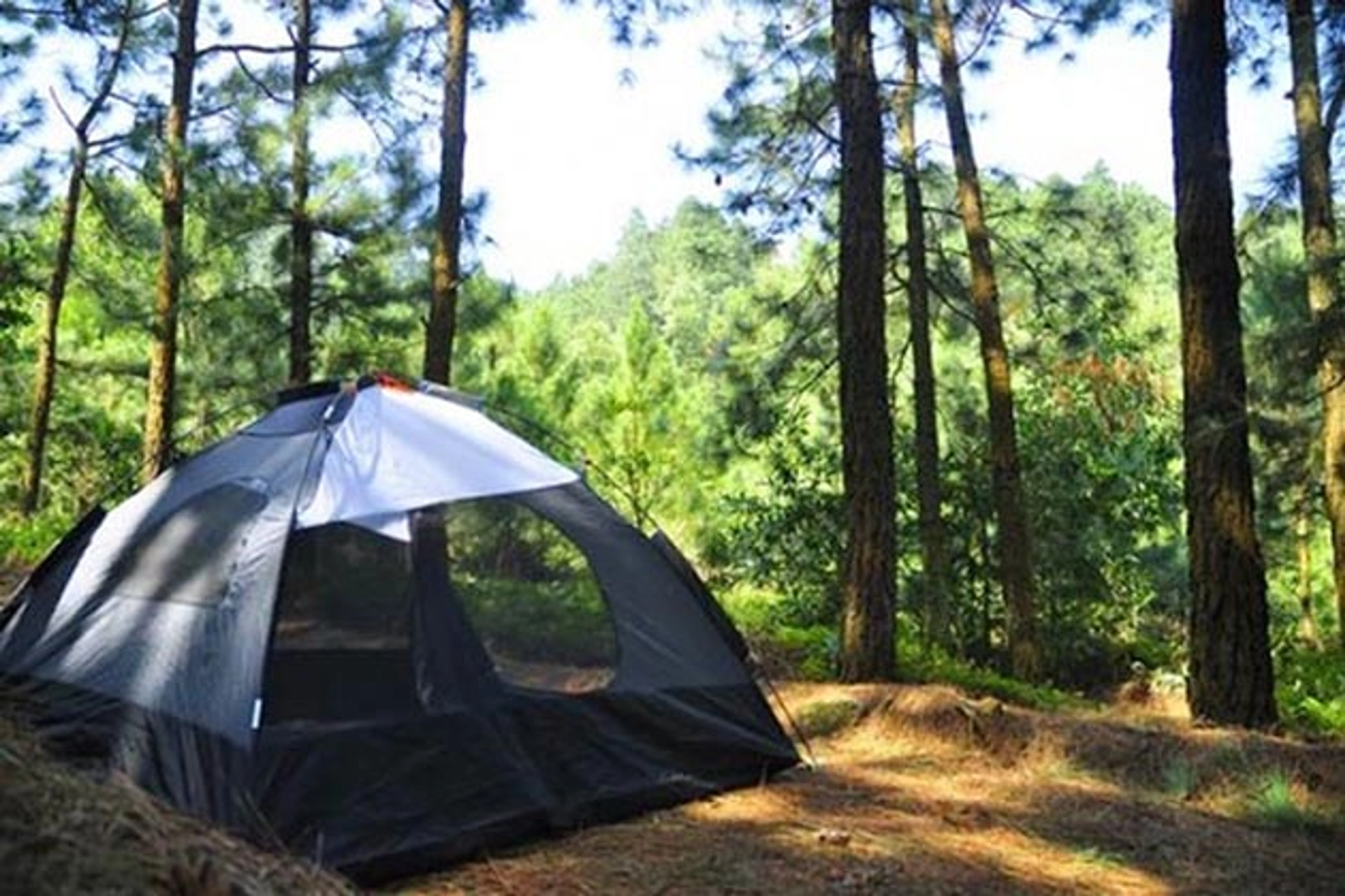 Gợi ý những địa điểm cắm trại nổi bật ở Ninh Bình