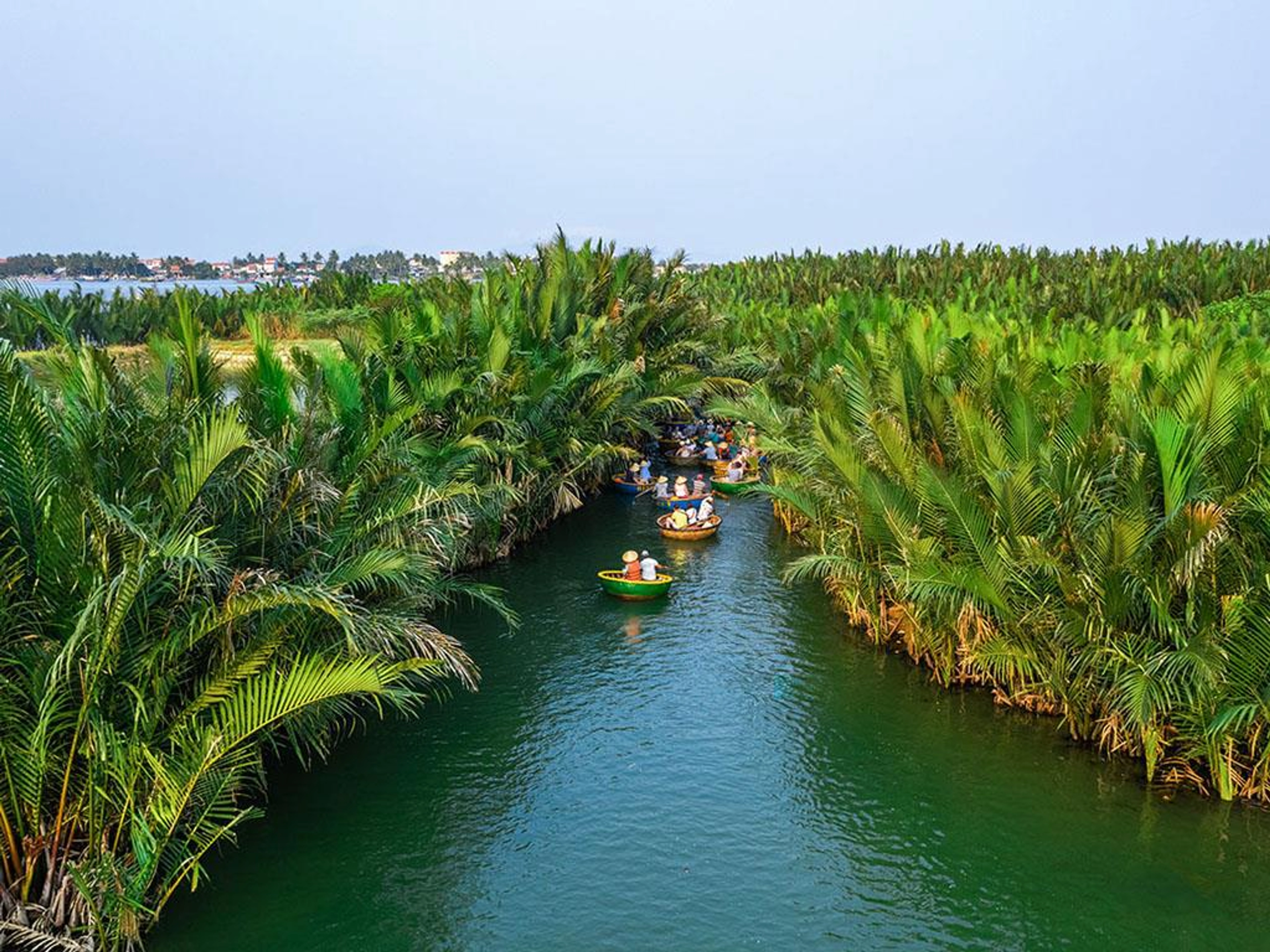 Rừng dừa Bảy Mẫu - Miền Tây sông nước ngay giữa lòng Quảng Nam