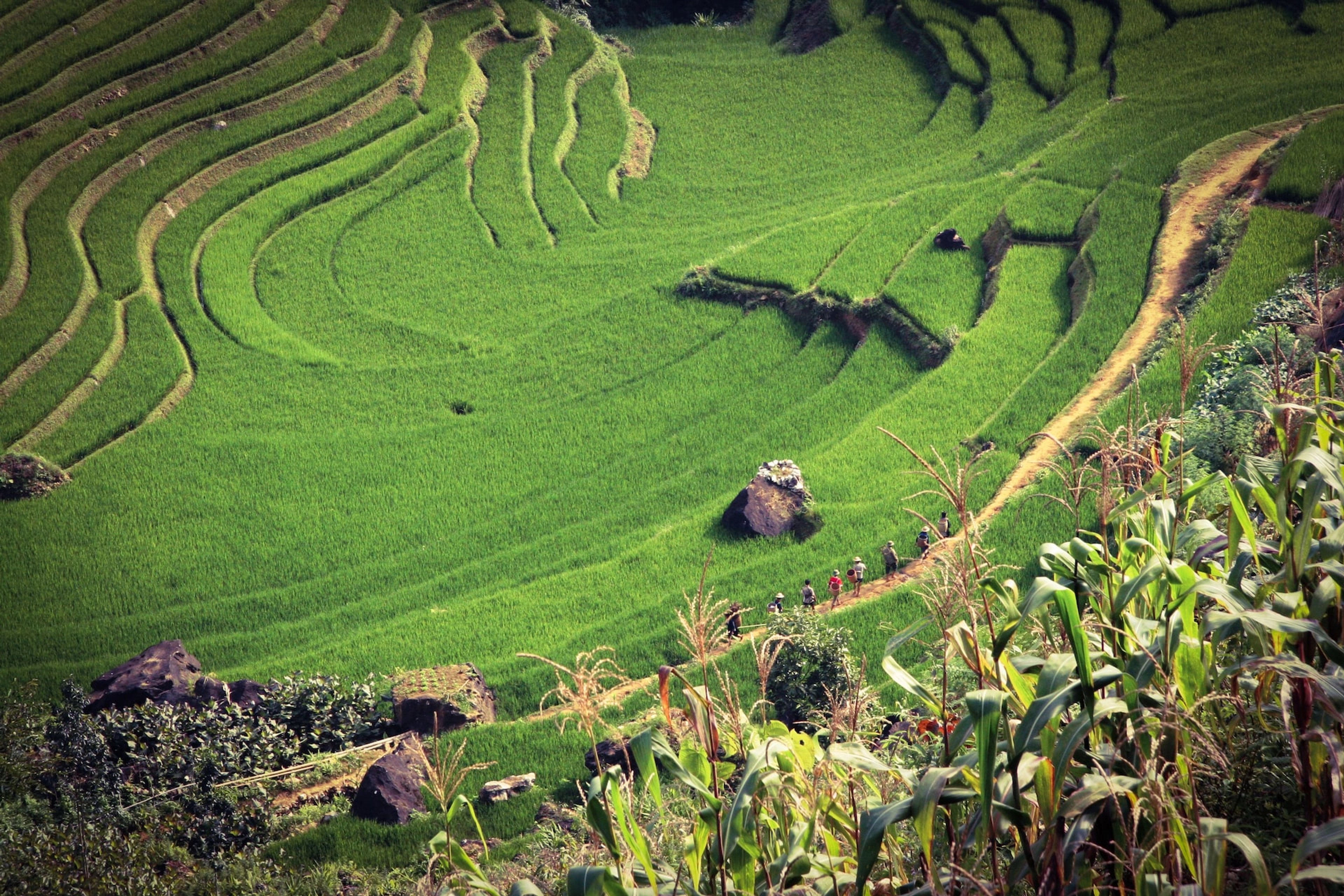 Things to do in Sapa Valley Travel