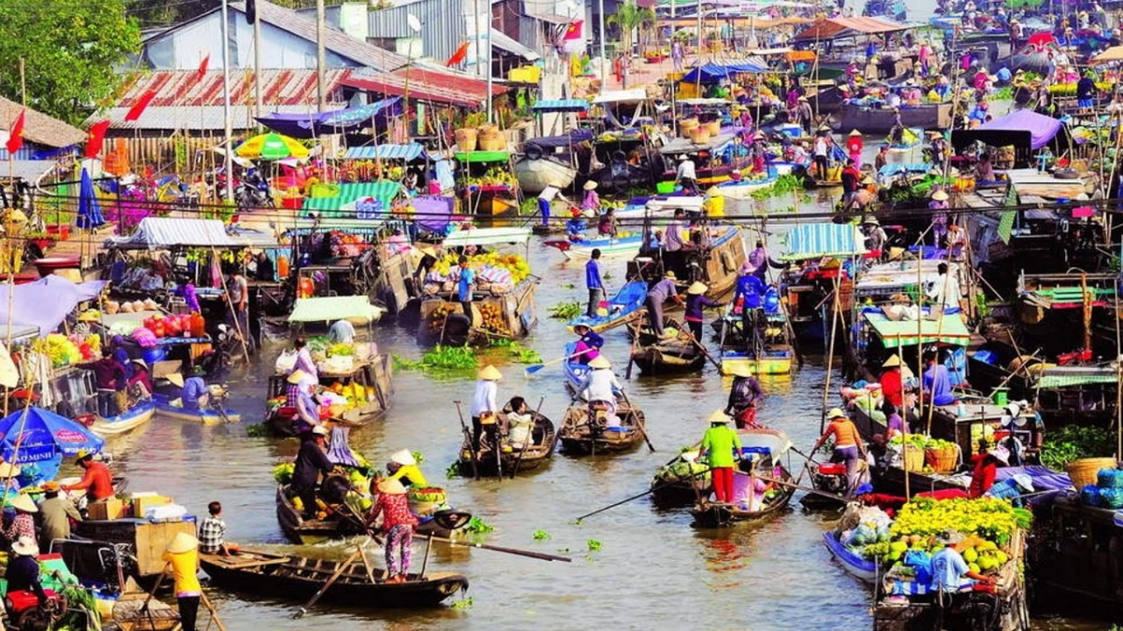 Tour Cần Thơ: Chợ Nổi Cái Răng - Bình Thủy - Cồn Sơn 1 ngày