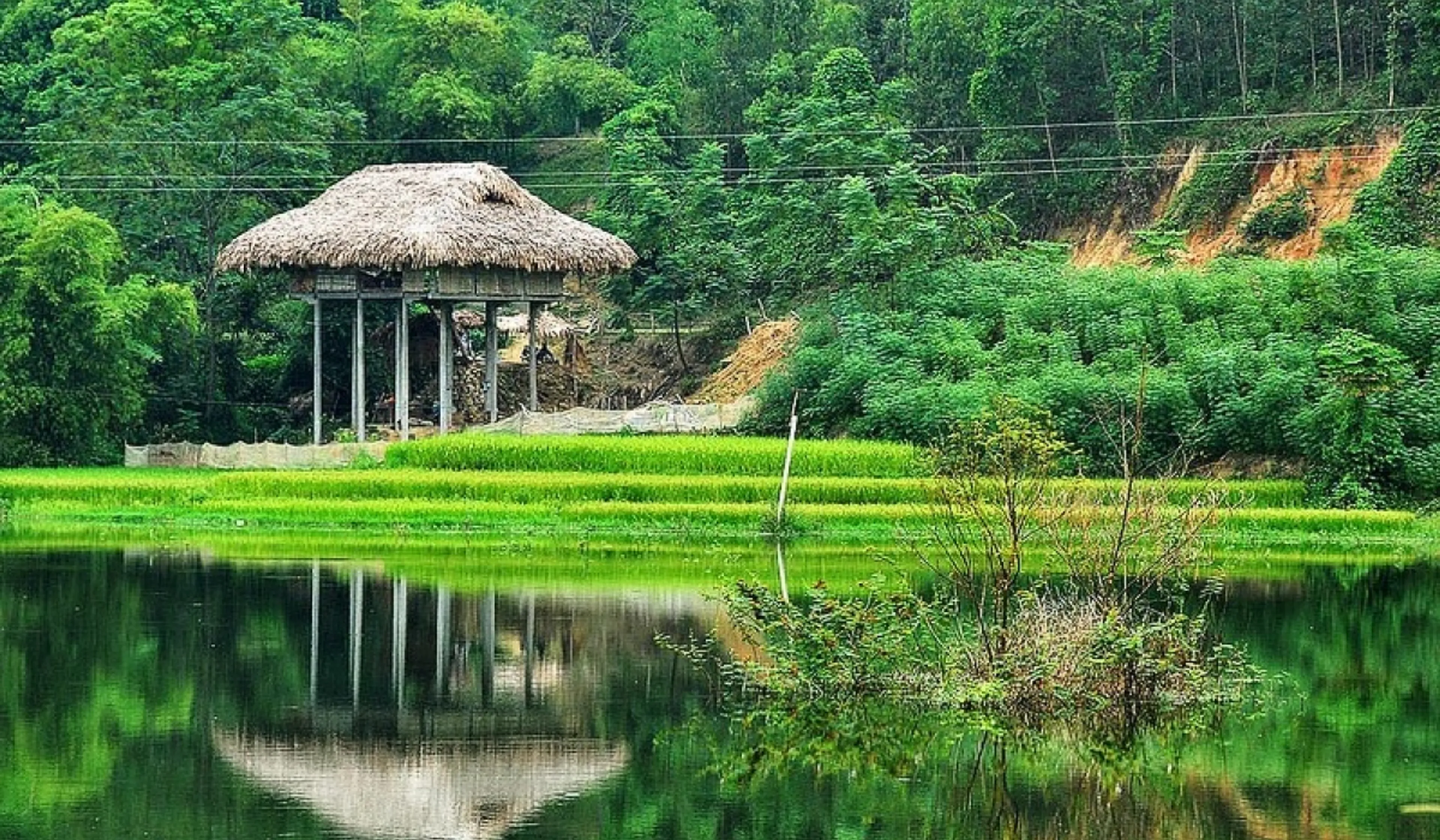 Toàn bộ bí kíp khám phá làng văn hóa Ngòi Tu, Yên Bái
