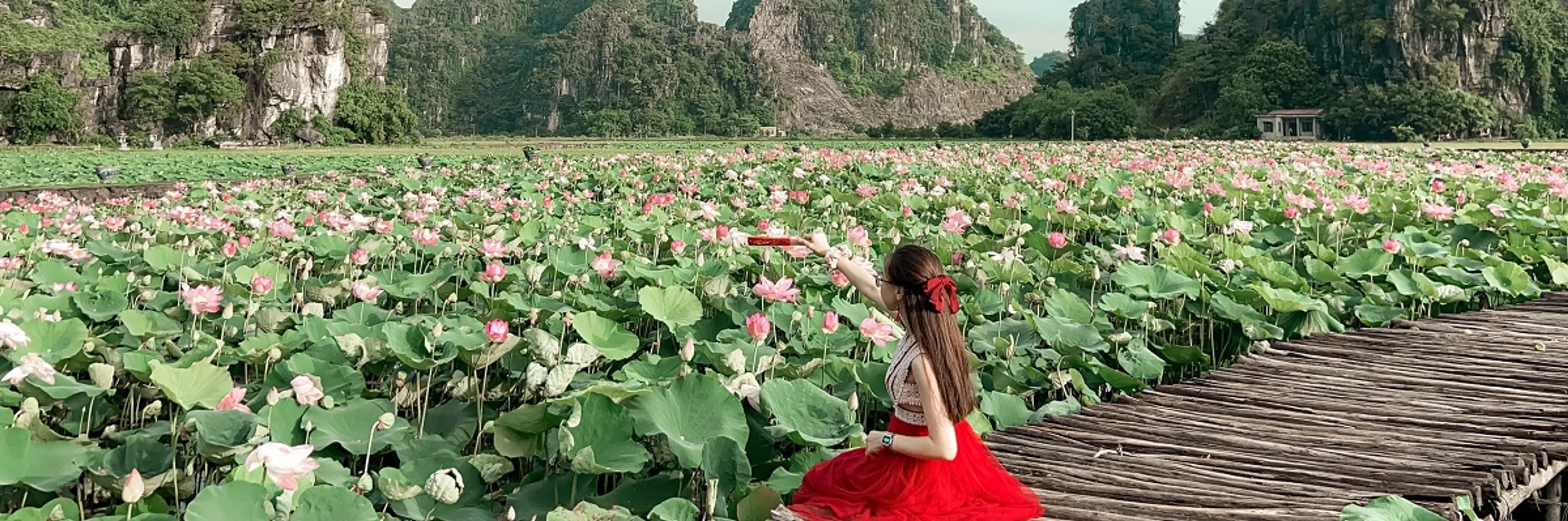 Kinh nghiệm hữu ích khi chụp ảnh ở đầm sen Quang Châu cho mọi du khách