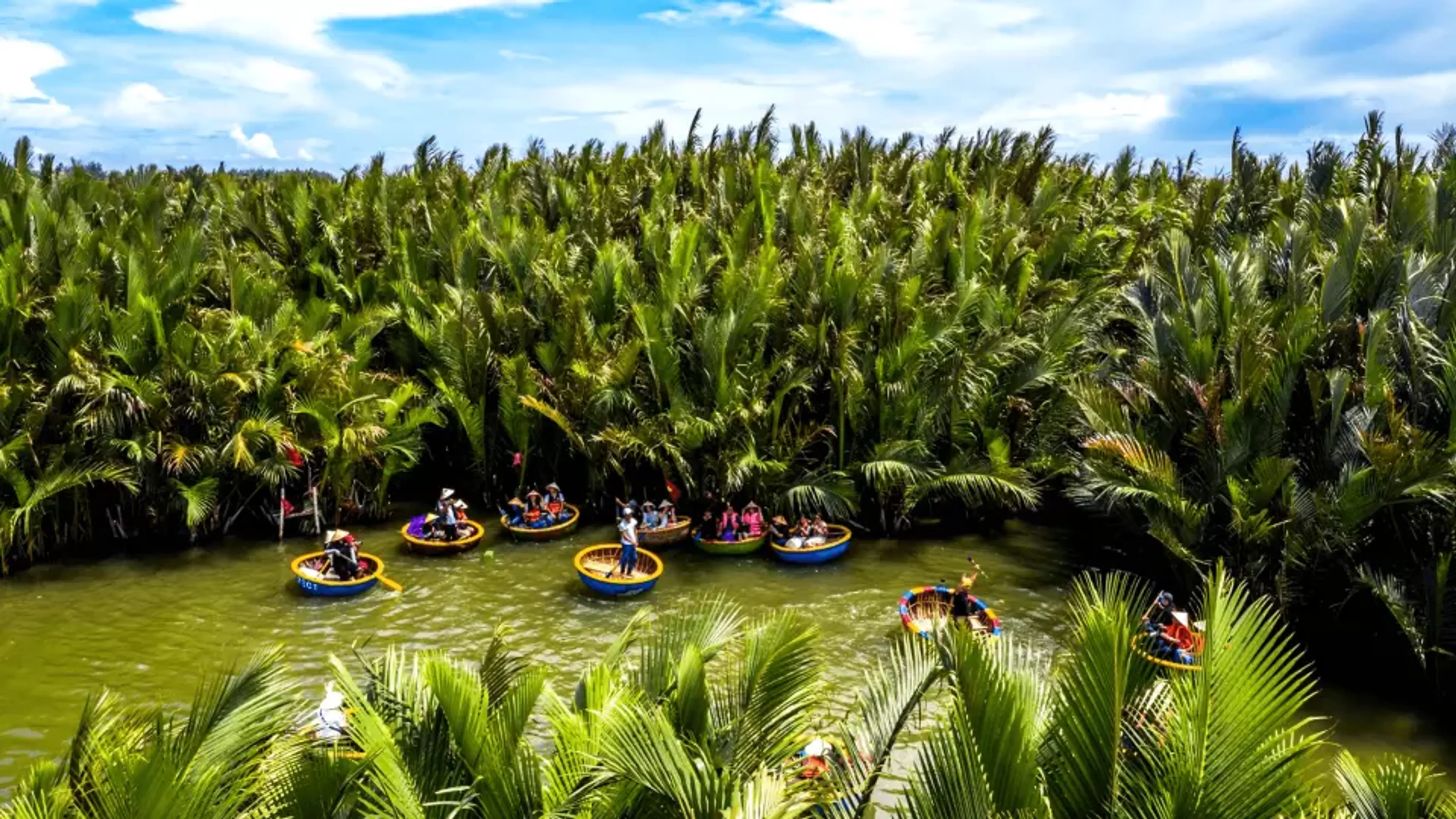 Về Cẩm Thanh trải nghiệm ngồi thuyền thúng giữa rừng dừa nước