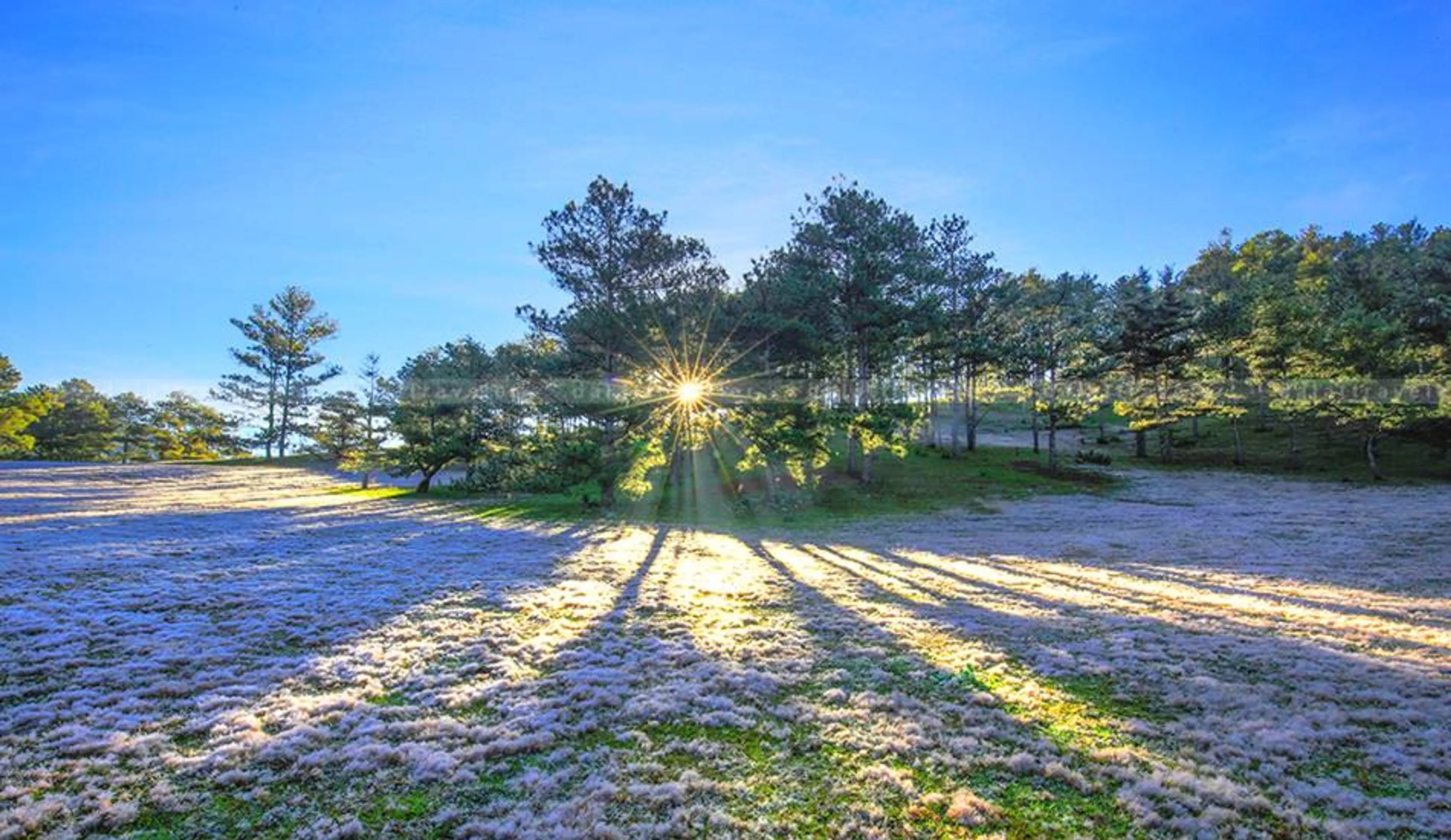 Discover the Tranquil Beauty of Da Lat: Camping Spots for Mesmerizing Sunsets
