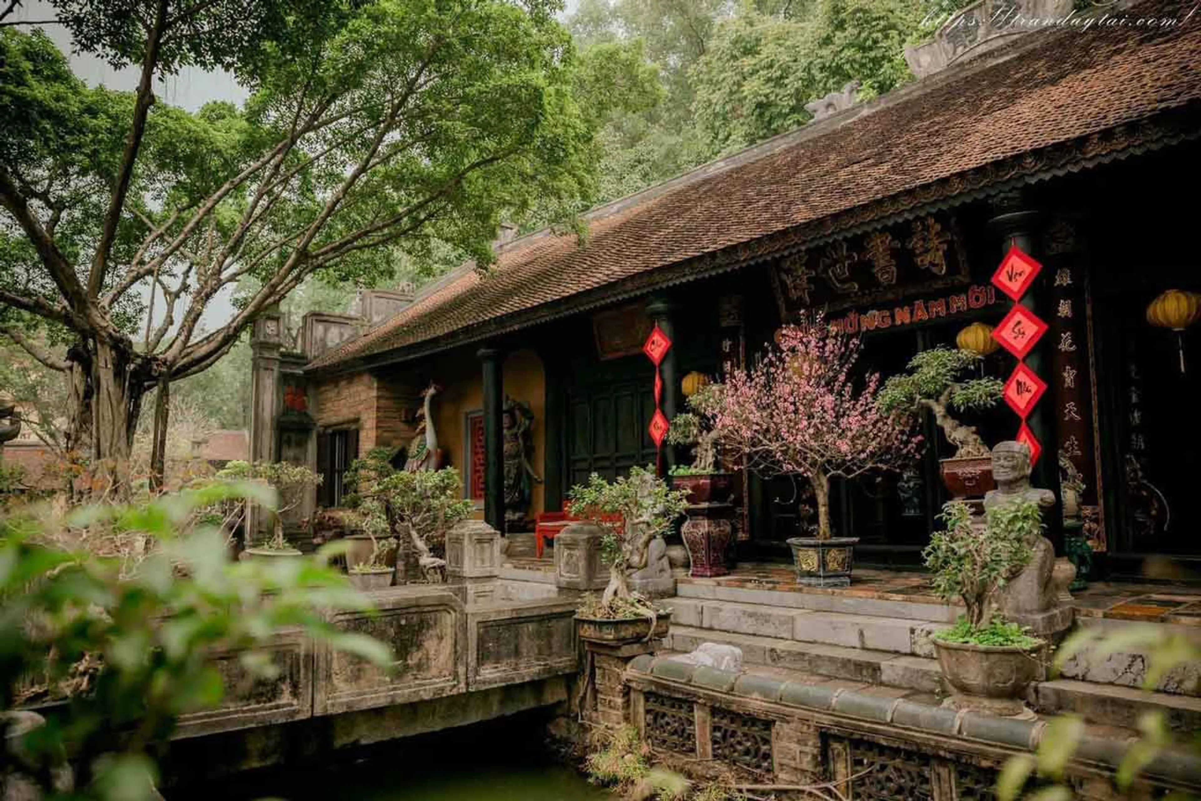 Việt Phủ Thành Chương - Điểm đến du lịch lý tưởng cho những ai yêu thích văn hóa Việt