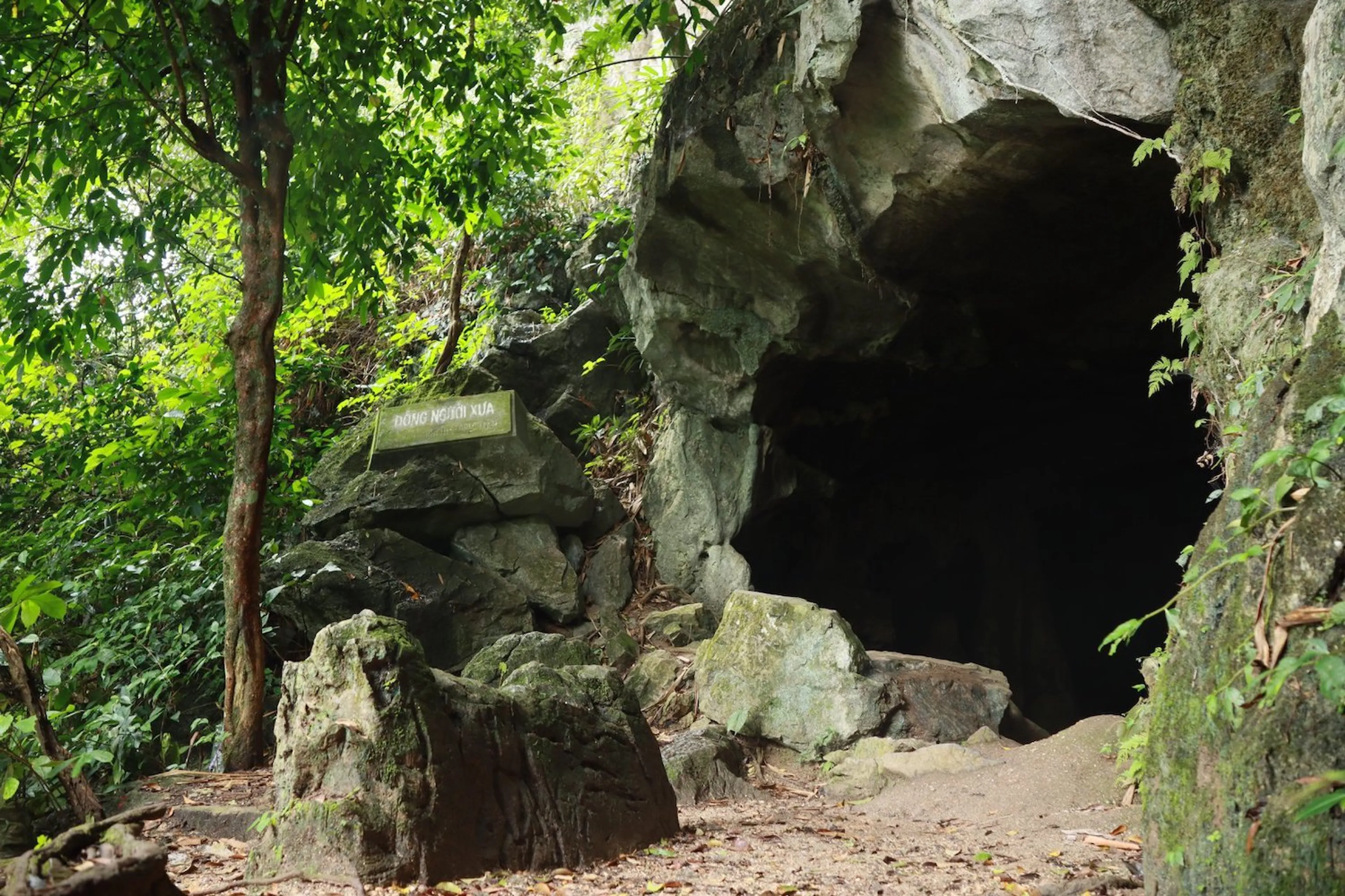 Explore the cave of ancient people at Cuc Phuong