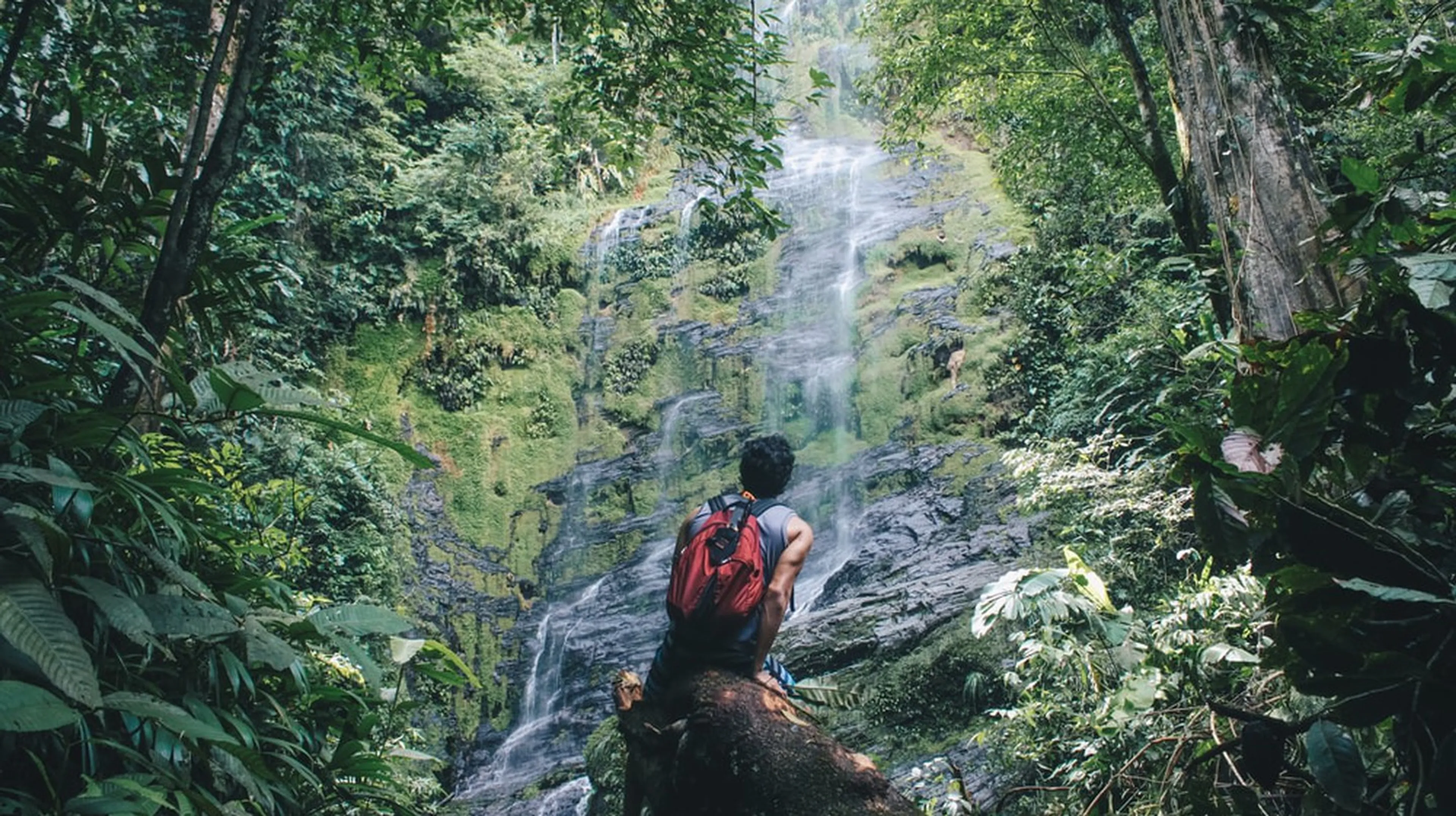Những cuộc phiêu lưu trong rừng ngoài trời hay nhất Thái Lan