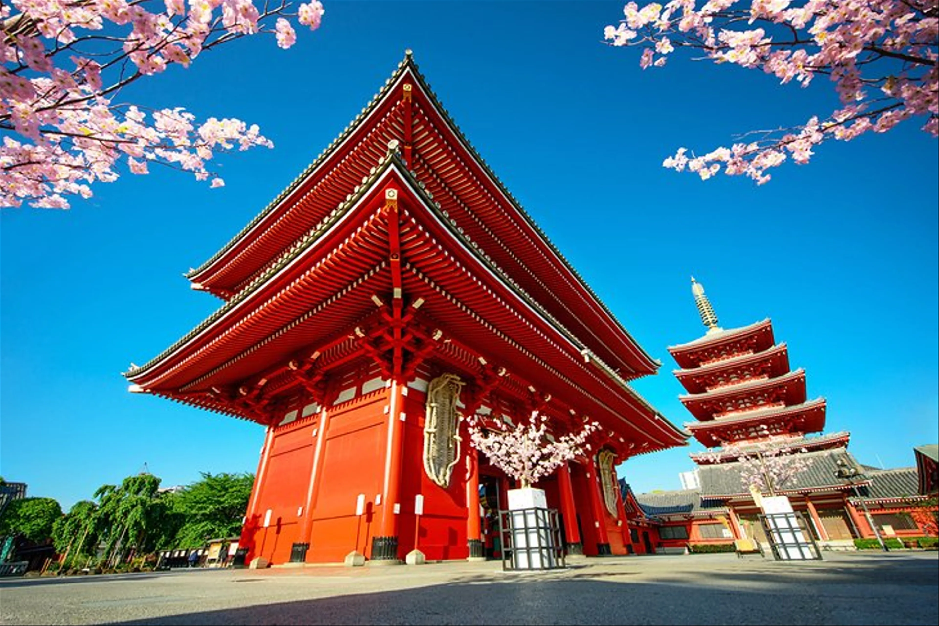 Best Time to Visit Japan