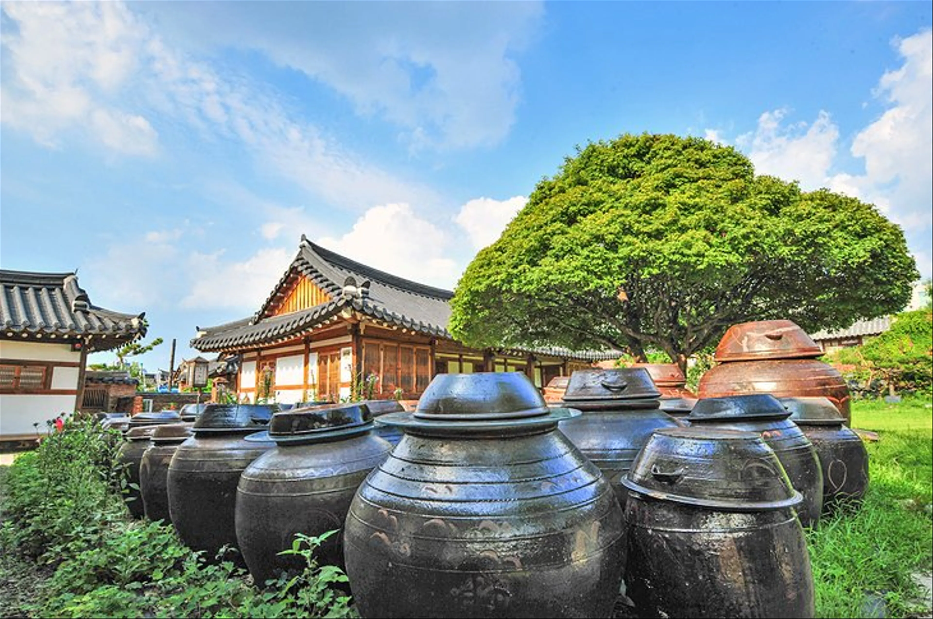 Top-Rated Tourist Attractions in South Korea