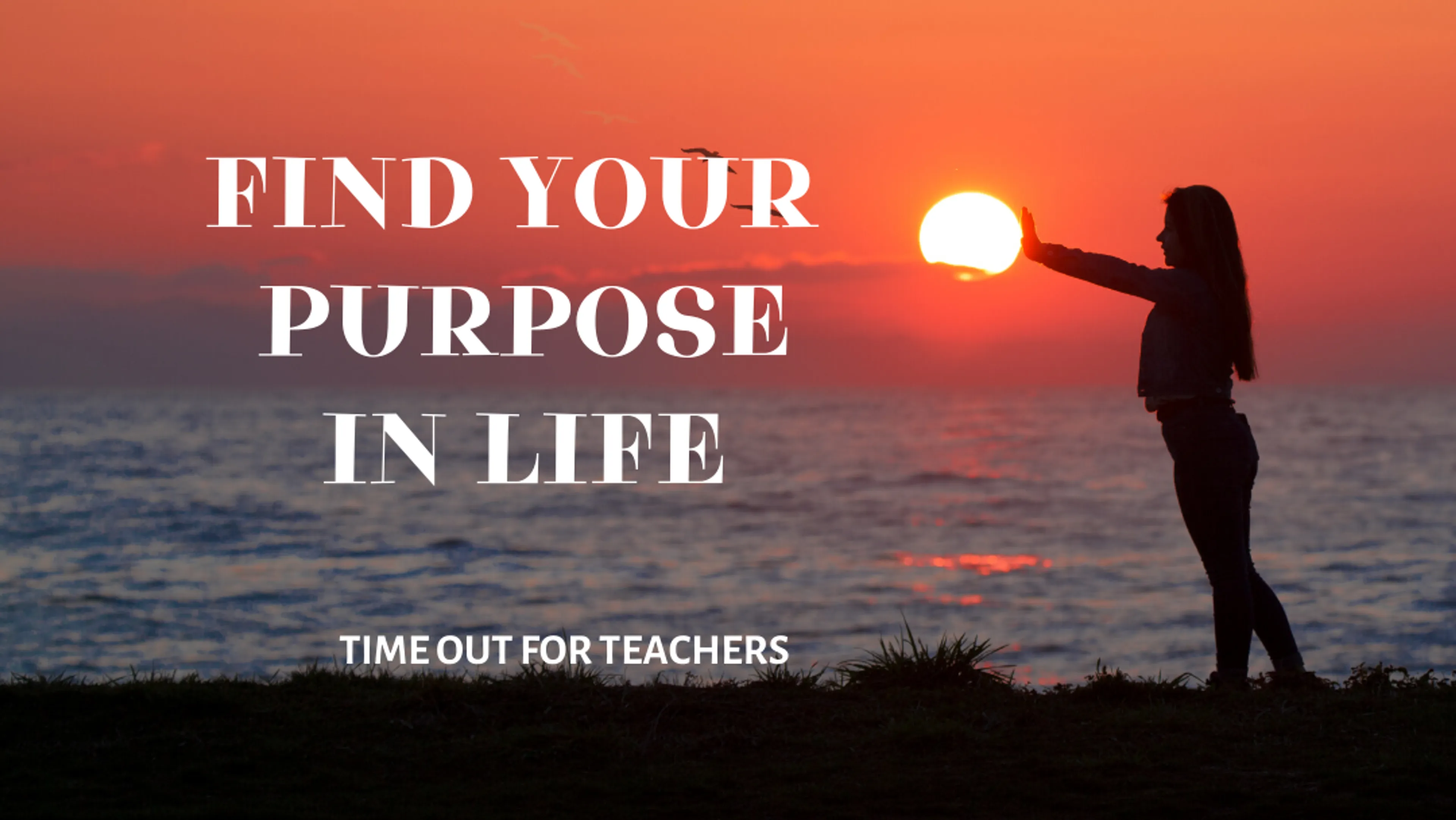 Finding Your Life's Purpose: A Personal Development Quest