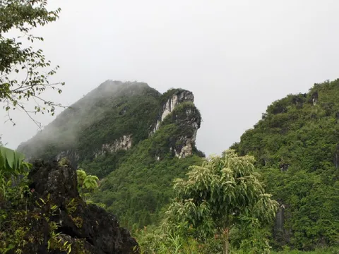 Núi Hàm Rồng (Sapa - Lào Cai)