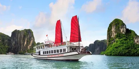 Boat takes tourists to visit Ha Long Bay, 4-hour program