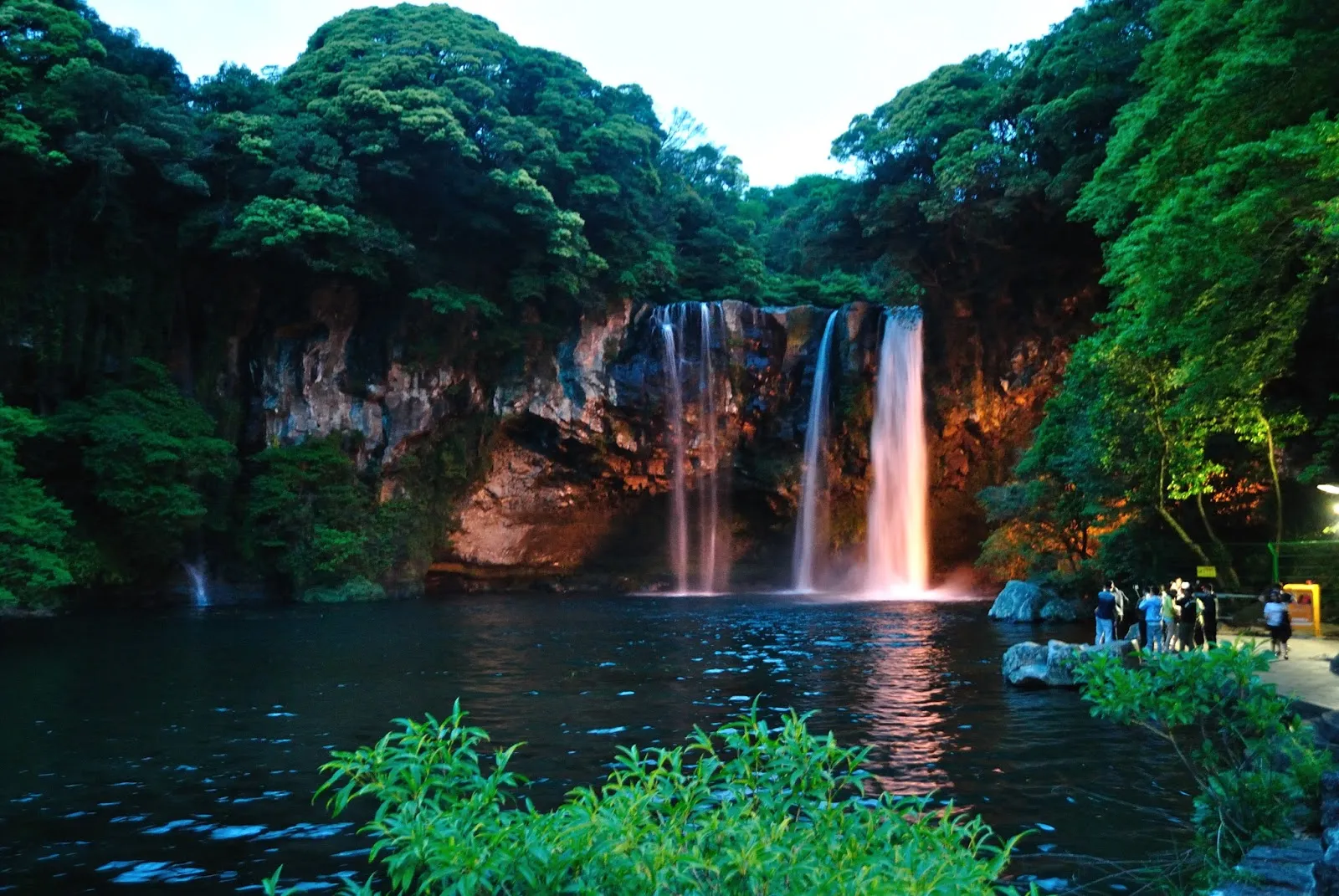 The Unique Flora and Fauna of Hallasan