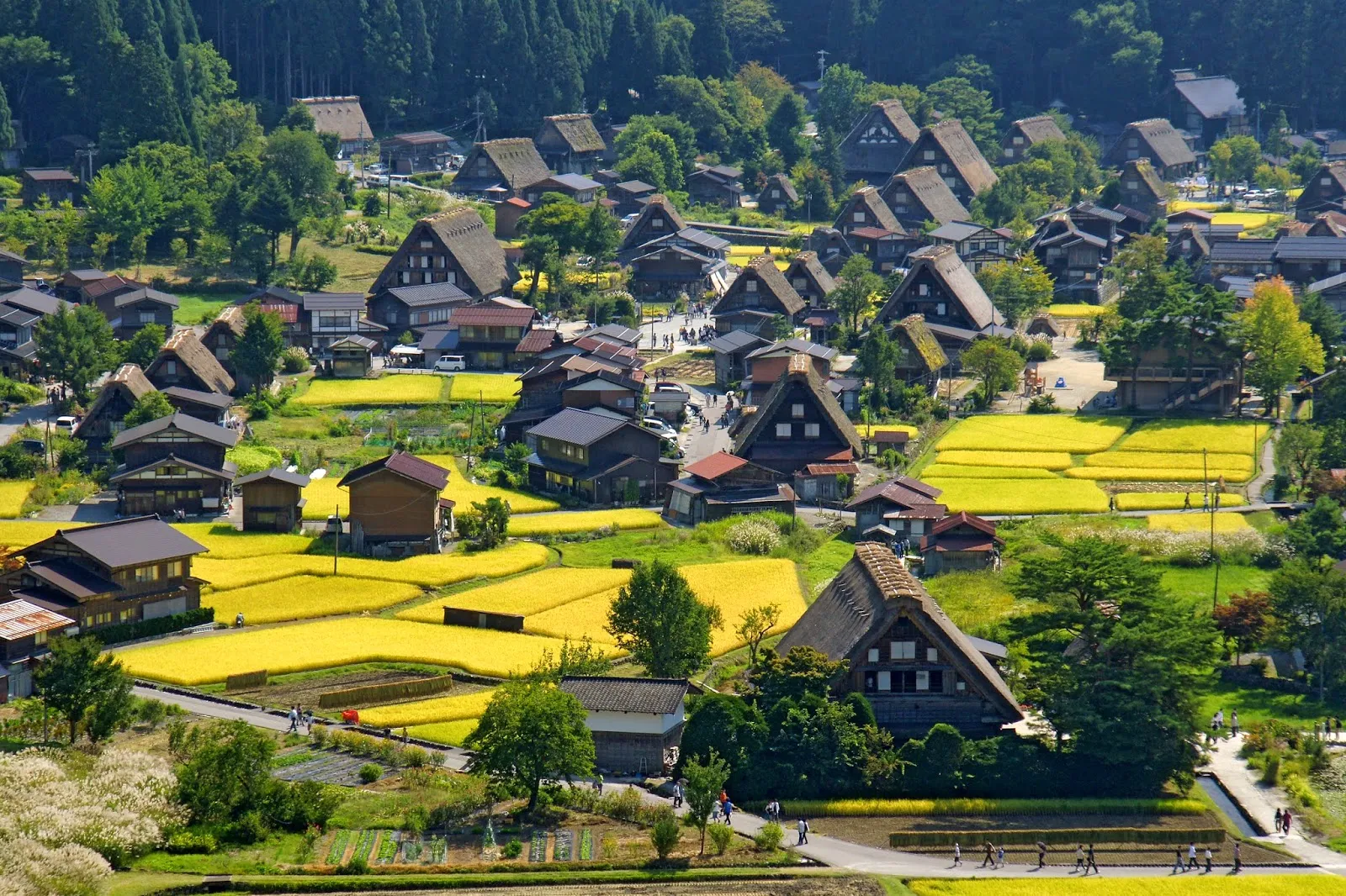 Lịch sử và văn hóa của Shirakawa-go