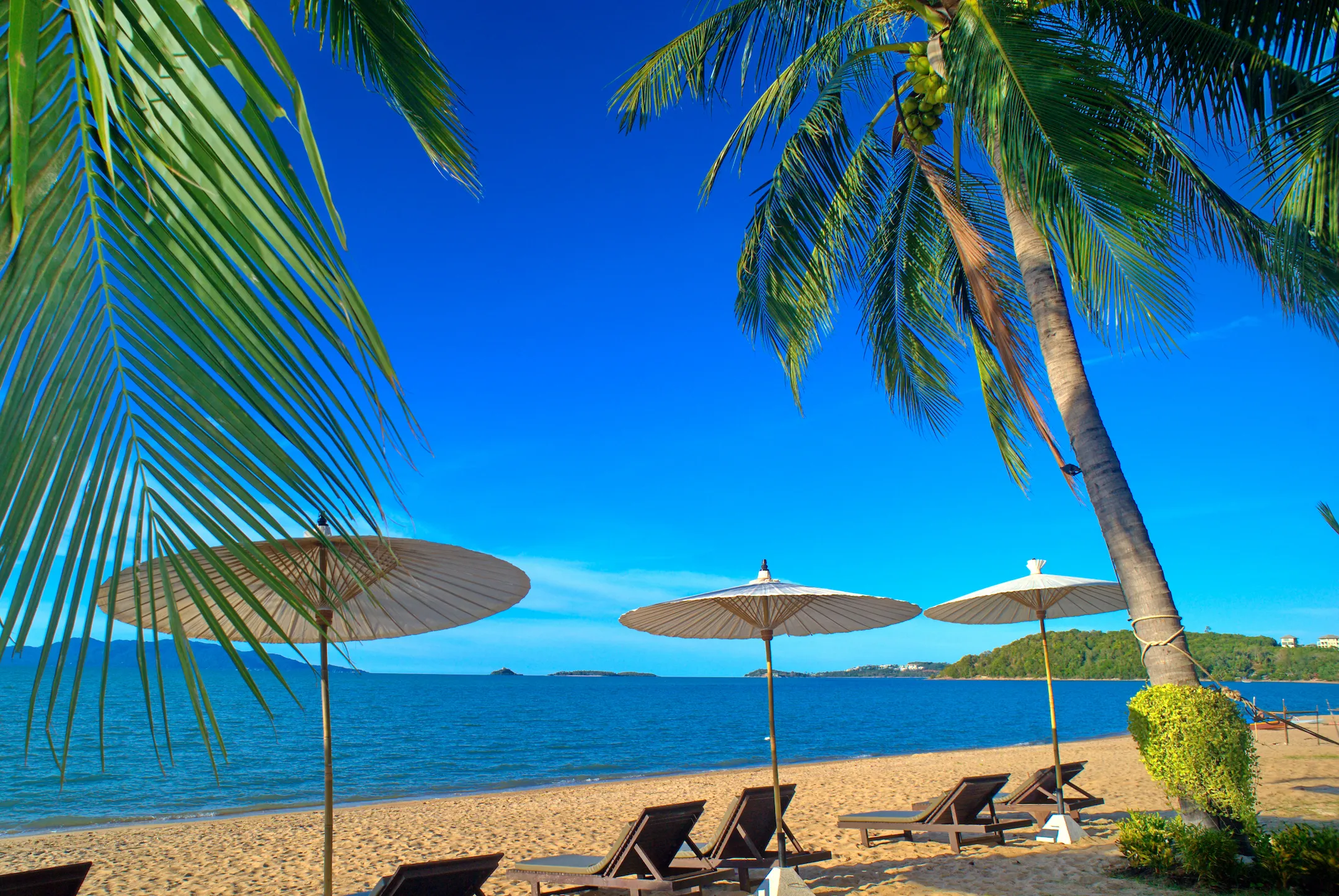 Home - Baan Bophut Beach Hotel