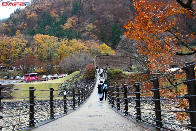 Ghé thăm đền Shirakawa Hachiman