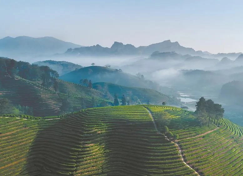 Sustainable Tourism: Preserving the Legacy of the Terraces