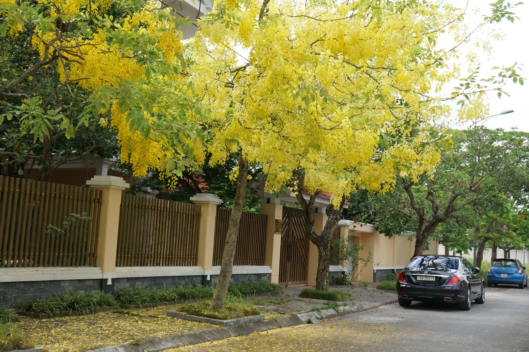 Khám Phá Những Con Phố Đầy Sắc Màu