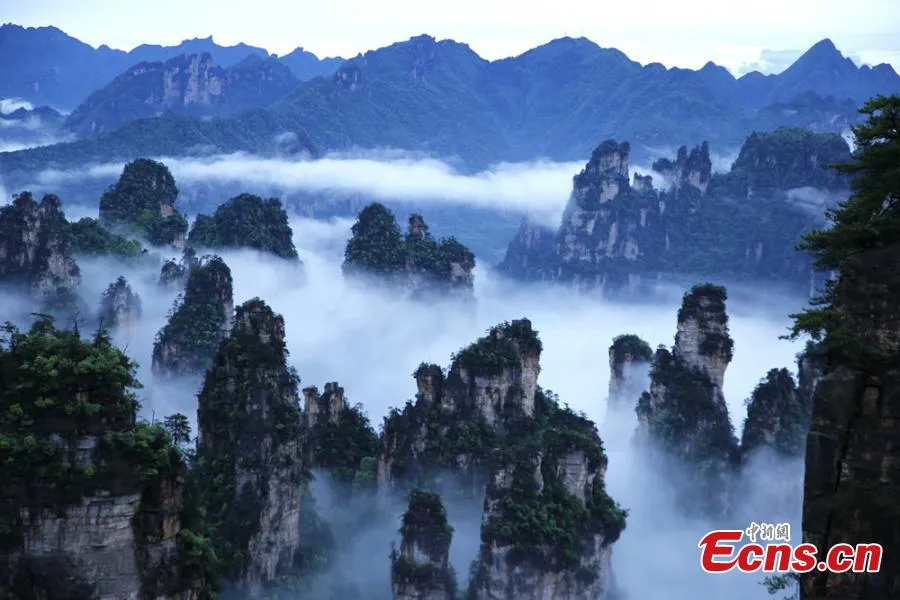Preservation Efforts: Protecting Wulingyuan's Beauty