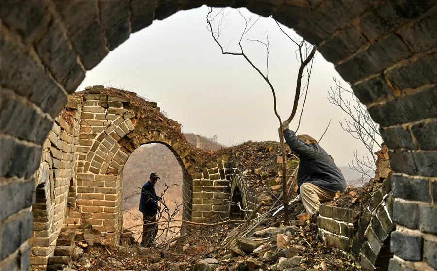 Preservation Efforts and Modern-Day Challenges